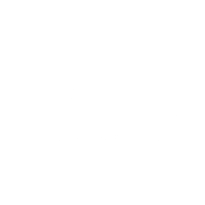 Van Rooyen Secretarial Services logo